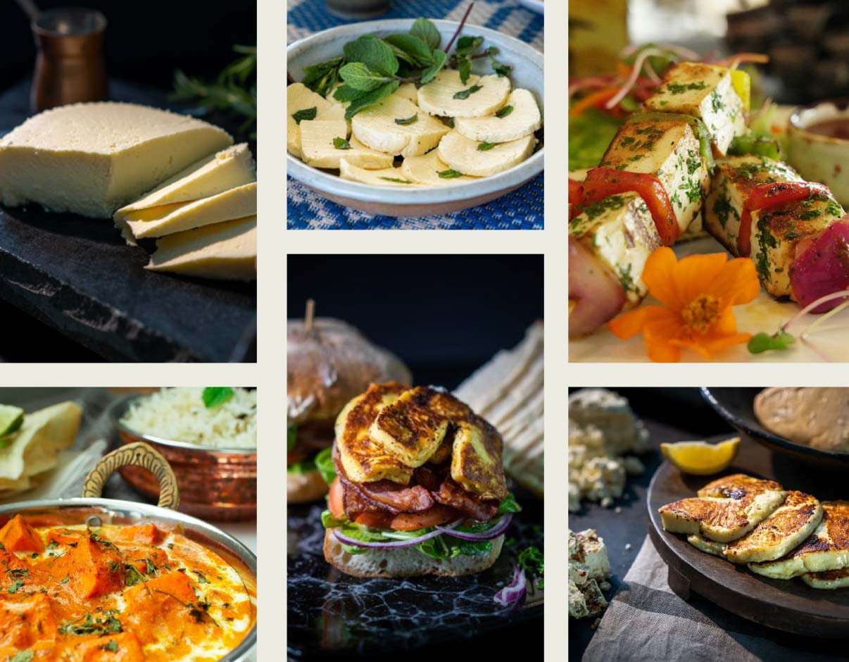 New Zealand Cheese Wholesale